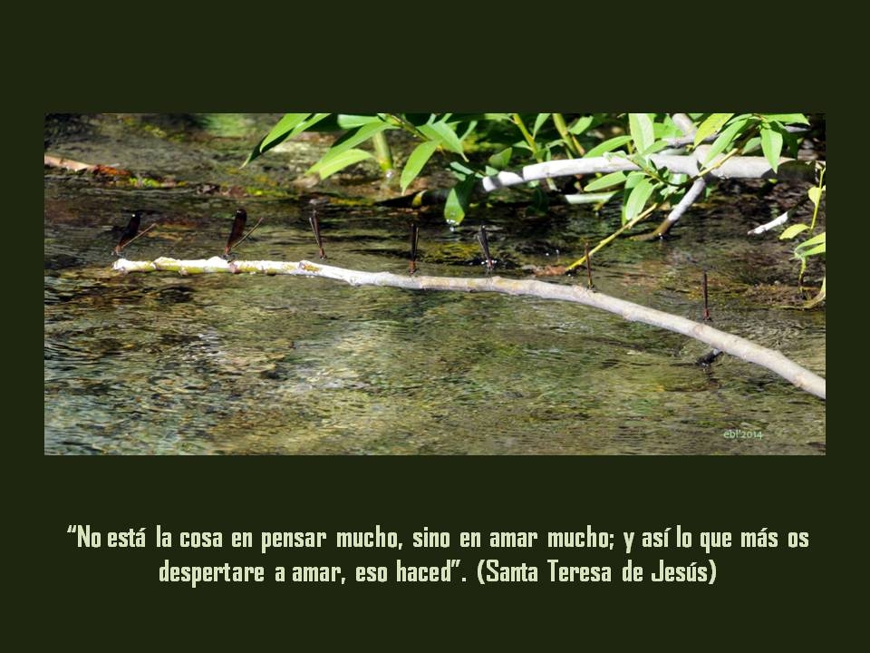 Attachment no esta la cosa en pensar mucho.JPG