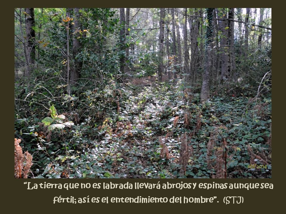 Attachment la tierra que no es labrada.JPG