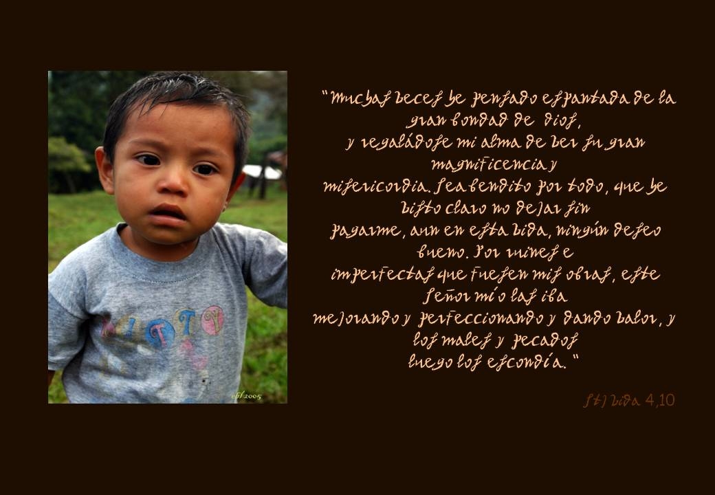 Attachment 14 muchas veces def.JPG