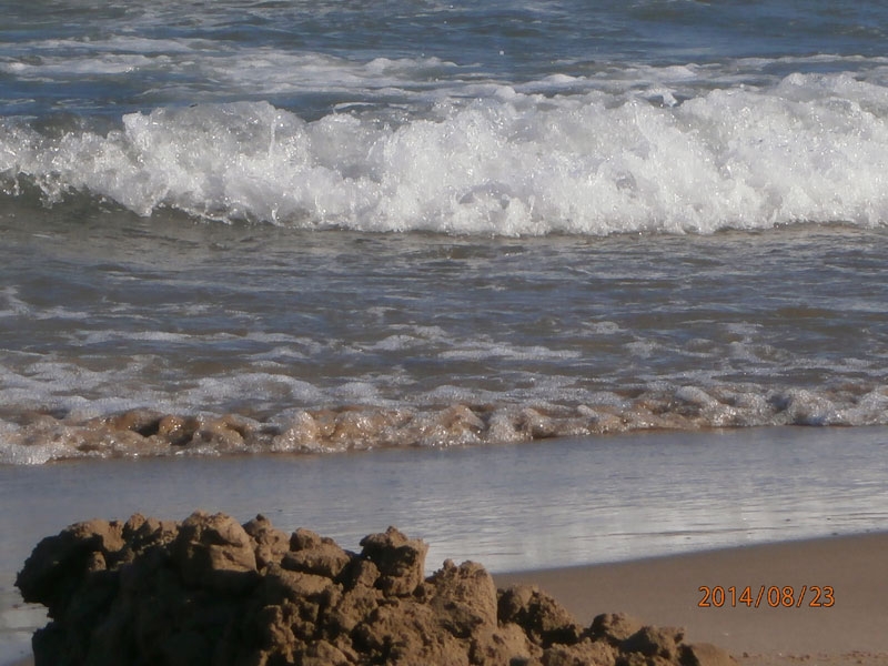 Fitxer adjunt IMG_0057 (1).JPG