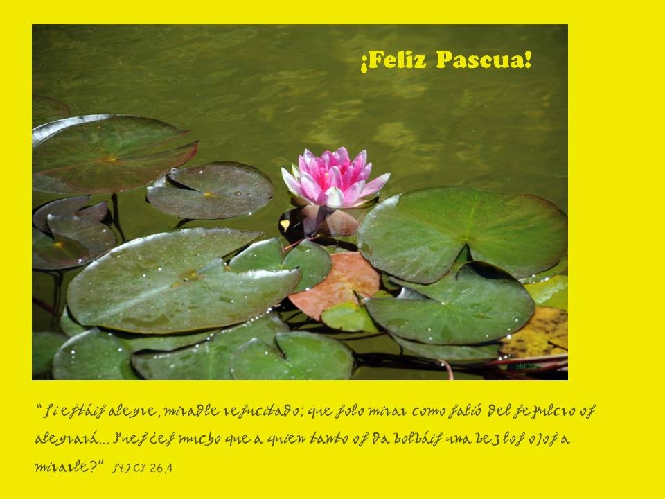 Fitxer adjunt 29 si estais alegre feliz pascua.JPG