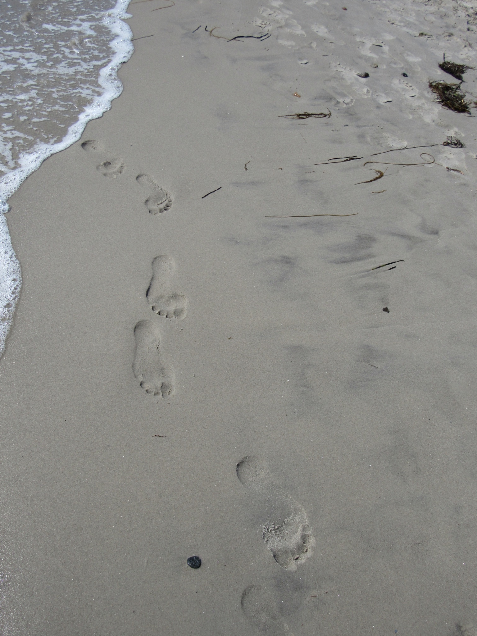 Attachment IMG_0854.JPG